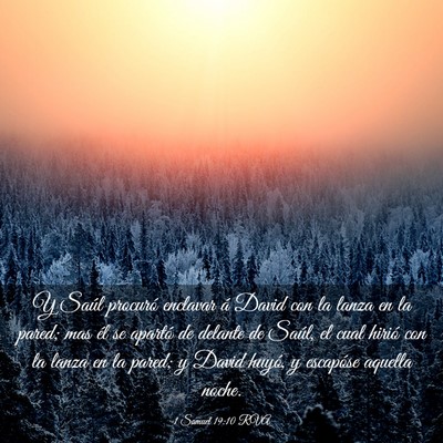 Picture 03 - 1 Samuel 19:10 RVA - Y Saúl procuró enclavar á David con la lanza - Bible Verse Picture
