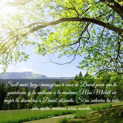 Picture 03 - 1 Samuel 19:11 RVA - Saúl envió luego mensajeros á casa de David - Bible Verse Picture