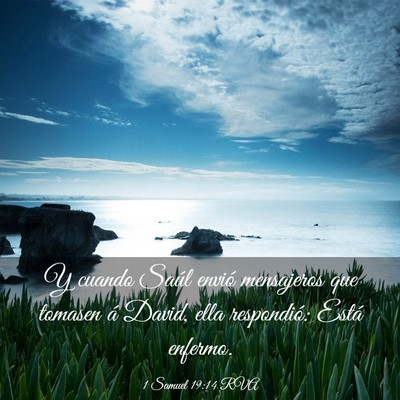 Picture 03 - 1 Samuel 19:14 RVA - Y cuando Saúl envió mensajeros que tomasen á - Bible Verse Picture