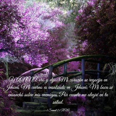 Picture 03 - 1 Samuel 2:1 RVA - Y ANNA oró y dijo: Mi corazón se regocija en - Bible Verse Picture