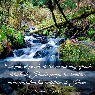 Picture 03 - 1 Samuel 2:17 RVA - Era pues el pecado de los mozos muy grande - Bible Verse Picture