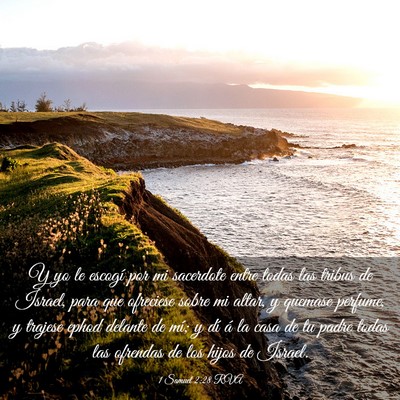 Picture 03 - 1 Samuel 2:28 RVA - Y yo le escogí por mi sacerdote entre todas las - Bible Verse Picture
