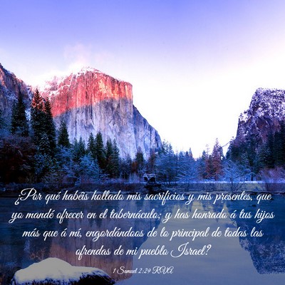 Picture 03 - 1 Samuel 2:29 RVA - ¿Por qué habéis hollado mis sacrificios y mis - Bible Verse Picture