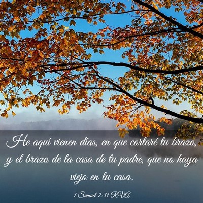 Picture 03 - 1 Samuel 2:31 RVA - He aquí vienen días, en que cortaré tu brazo, - Bible Verse Picture