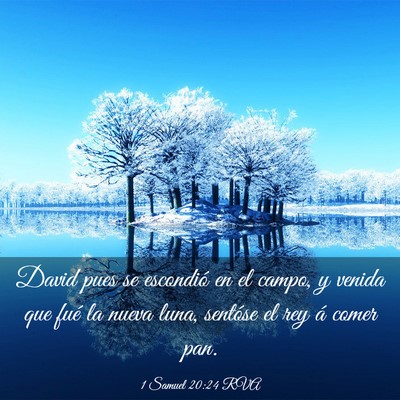 Picture 03 - 1 Samuel 20:24 RVA - David pues se escondió en el campo, y venida que - Bible Verse Picture