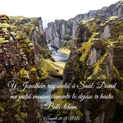 Picture 03 - 1 Samuel 20:28 RVA - Y Jonathán respondió á Saúl: David me pidió - Bible Verse Picture