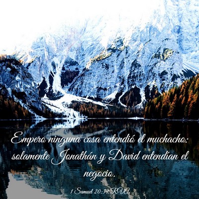 Picture 03 - 1 Samuel 20:39 RVA - Empero ninguna cosa entendió el muchacho: - Bible Verse Picture