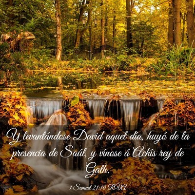 Picture 03 - 1 Samuel 21:10 RVA - Y levantándose David aquel día, huyó de la - Bible Verse Picture