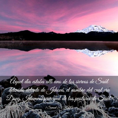 Picture 03 - 1 Samuel 21:7 RVA - Aquel día estaba allí uno de los siervos de - Bible Verse Picture