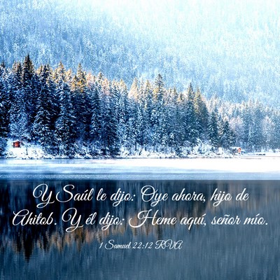 Picture 03 - 1 Samuel 22:12 RVA - Y Saúl le dijo: Oye ahora, hijo de Ahitob. Y él - Bible Verse Picture