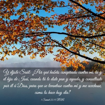 Picture 03 - 1 Samuel 22:13 RVA - Y díjole Saúl: ¿Por qué habéis conspirado - Bible Verse Picture