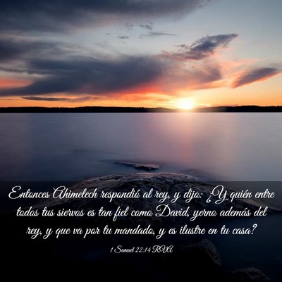 Picture 03 - 1 Samuel 22:14 RVA - Entonces Ahimelech respondió al rey, y dijo: ¿Y - Bible Verse Picture