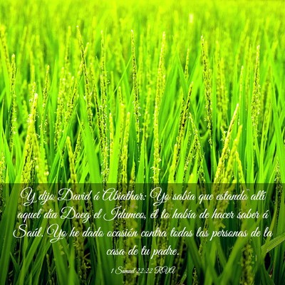 Picture 03 - 1 Samuel 22:22 RVA - Y dijo David á Abiathar: Yo sabía que estando - Bible Verse Picture