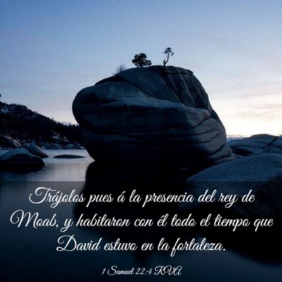 Picture 03 - 1 Samuel 22:4 RVA - Trájolos pues á la presencia del rey de Moab, y - Bible Verse Picture