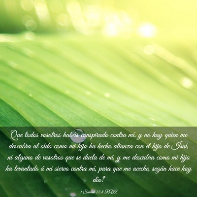 Picture 03 - 1 Samuel 22:8 RVA - Que todos vosotros habéis conspirado contra mí, - Bible Verse Picture