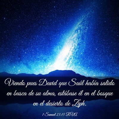 Picture 03 - 1 Samuel 23:15 RVA - Viendo pues David que Saúl había salido en - Bible Verse Picture