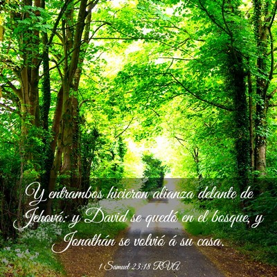 Picture 03 - 1 Samuel 23:18 RVA - Y entrambos hicieron alianza delante de Jehová: - Bible Verse Picture