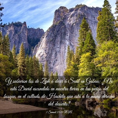 Picture 03 - 1 Samuel 23:19 RVA - Y subieron los de Ziph á decir á Saúl en - Bible Verse Picture