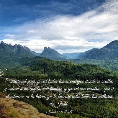 Picture 03 - 1 Samuel 23:23 RVA - Considerad pues, y ved todos los escondrijos - Bible Verse Picture
