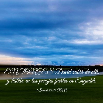 Picture 03 - 1 Samuel 23:29 RVA - ENTONCES David subió de allí, y habitó en los - Bible Verse Picture