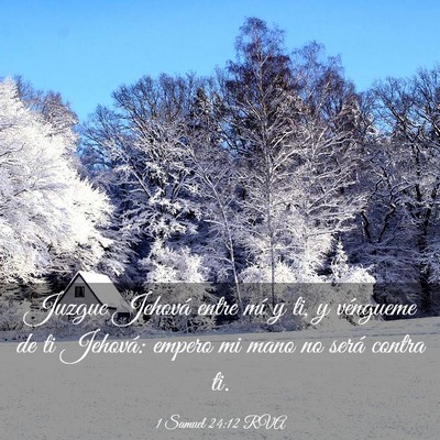 Picture 03 - 1 Samuel 24:12 RVA - Juzgue Jehová entre mí y ti, y véngueme de ti - Bible Verse Picture
