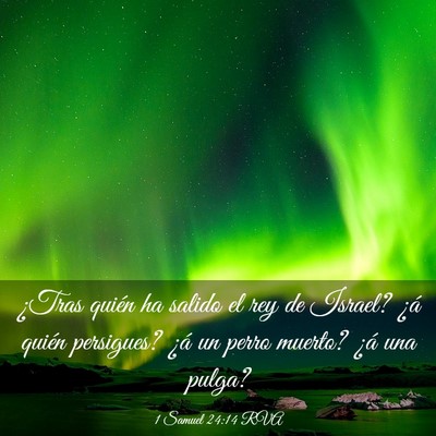 Picture 03 - 1 Samuel 24:14 RVA - ¿Tras quién ha salido el rey de Israel? ¿á - Bible Verse Picture
