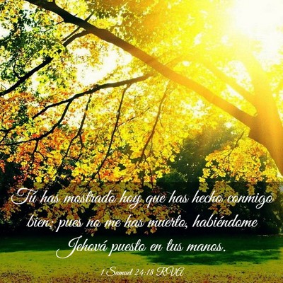 Picture 03 - 1 Samuel 24:18 RVA - Tú has mostrado hoy que has hecho conmigo bien; - Bible Verse Picture