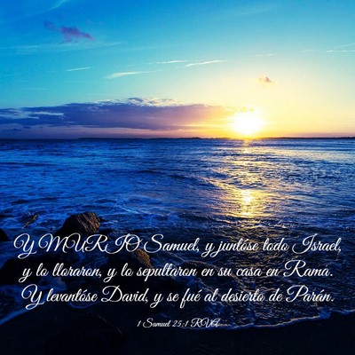 Picture 03 - 1 Samuel 25:1 RVA - Y MURIO Samuel, y juntóse todo Israel, y lo - Bible Verse Picture