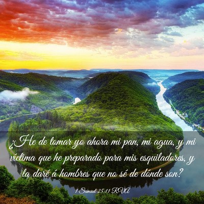Picture 03 - 1 Samuel 25:11 RVA - ¿He de tomar yo ahora mi pan, mi agua, y mi - Bible Verse Picture