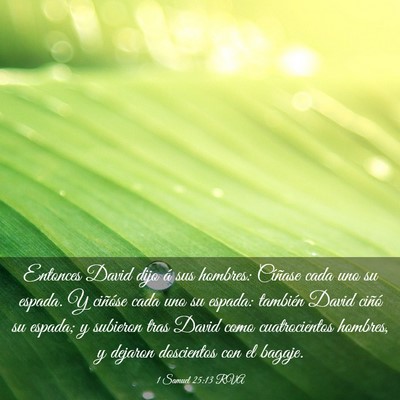 Picture 03 - 1 Samuel 25:13 RVA - Entonces David dijo á sus hombres: Cíñase cada - Bible Verse Picture