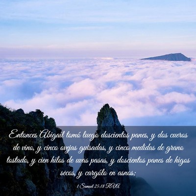 Picture 03 - 1 Samuel 25:18 RVA - Entonces Abigail tomó luego doscientos panes, y - Bible Verse Picture