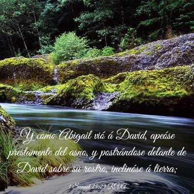 Picture 03 - 1 Samuel 25:23 RVA - Y como Abigail vió á David, apeóse prestamente - Bible Verse Picture