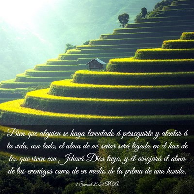Picture 03 - 1 Samuel 25:29 RVA - Bien que alguien se haya levantado á perseguirte - Bible Verse Picture