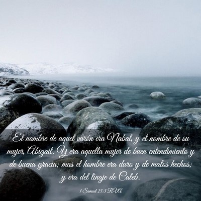 Picture 03 - 1 Samuel 25:3 RVA - El nombre de aquel varón era Nabal, y el nombre - Bible Verse Picture