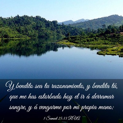 Picture 03 - 1 Samuel 25:33 RVA - Y bendito sea tu razonamiento, y bendita tú, que - Bible Verse Picture