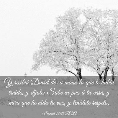 Picture 03 - 1 Samuel 25:35 RVA - Y recibió David de su mano lo que le había - Bible Verse Picture