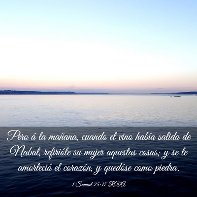 Picture 03 - 1 Samuel 25:37 RVA - Pero á la mañana, cuando el vino había salido - Bible Verse Picture
