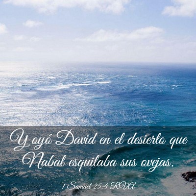 Picture 03 - 1 Samuel 25:4 RVA - Y oyó David en el desierto que Nabal esquilaba - Bible Verse Picture
