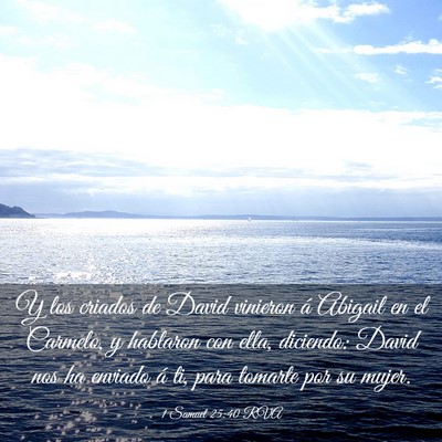 Picture 03 - 1 Samuel 25:40 RVA - Y los criados de David vinieron á Abigail en el - Bible Verse Picture