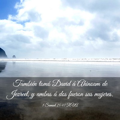Picture 03 - 1 Samuel 25:43 RVA - También tomó David á Ahinoam de Jezreel, y - Bible Verse Picture