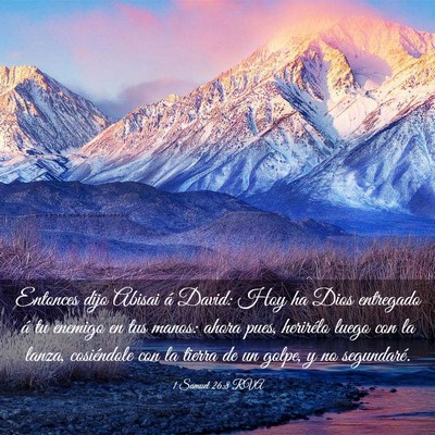 Picture 03 - 1 Samuel 26:8 RVA - Entonces dijo Abisai á David: Hoy ha Dios - Bible Verse Picture