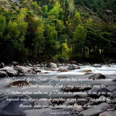 Picture 03 - 1 Samuel 28:15 RVA - Y Samuel dijo á Saúl: ¿Por qué me has - Bible Verse Picture