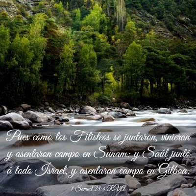 Picture 03 - 1 Samuel 28:4 RVA - Pues como los Filisteos se juntaron, vinieron y - Bible Verse Picture