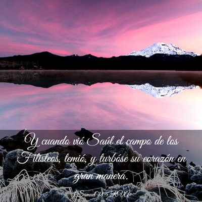 Picture 03 - 1 Samuel 28:5 RVA - Y cuando vió Saúl el campo de los Filisteos, - Bible Verse Picture