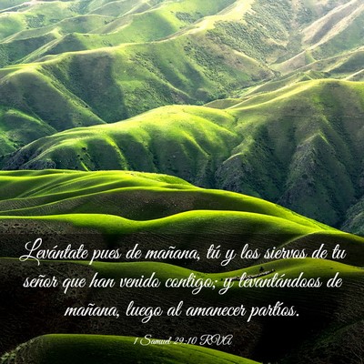 Picture 03 - 1 Samuel 29:10 RVA - Levántate pues de mañana, tú y los siervos de - Bible Verse Picture