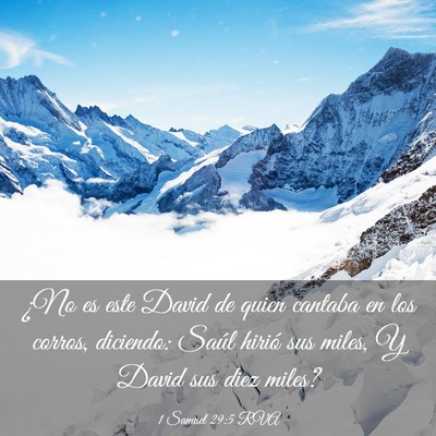 Picture 03 - 1 Samuel 29:5 RVA - ¿No es este David de quien cantaba en los - Bible Verse Picture