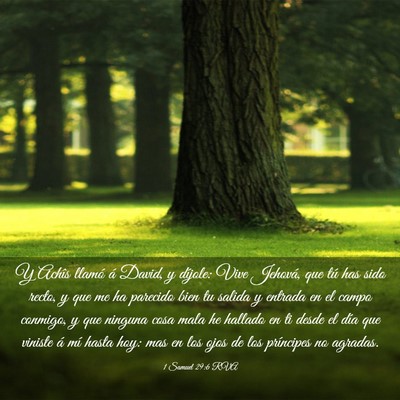 Picture 03 - 1 Samuel 29:6 RVA - Y Achîs llamó á David, y díjole: Vive - Bible Verse Picture