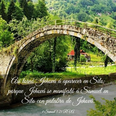Picture 03 - 1 Samuel 3:21 RVA - Así tornó Jehová á aparecer en Silo: porque - Bible Verse Picture