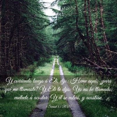 Picture 03 - 1 Samuel 3:5 RVA - Y corriendo luego á Eli, dijo: Heme aquí; - Bible Verse Picture