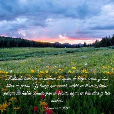 Picture 03 - 1 Samuel 30:12 RVA - Diéronle también un pedazo de masa de higos - Bible Verse Picture